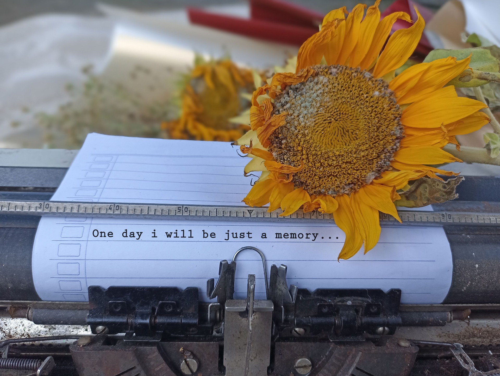 Life story concept - One day i will be just a memory.  Typewriting text on old typewriter with wilted sunflower.